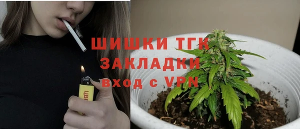 ГАЛЛЮЦИНОГЕННЫЕ ГРИБЫ Ельня