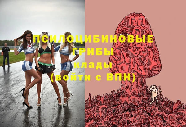 ГАЛЛЮЦИНОГЕННЫЕ ГРИБЫ Ельня