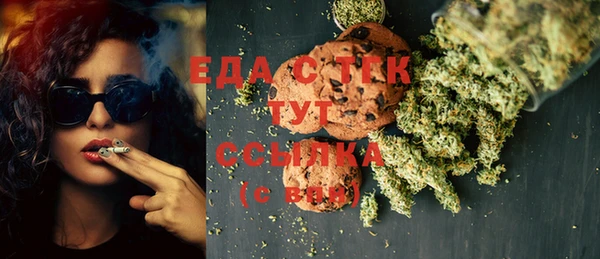 ГАЛЛЮЦИНОГЕННЫЕ ГРИБЫ Ельня