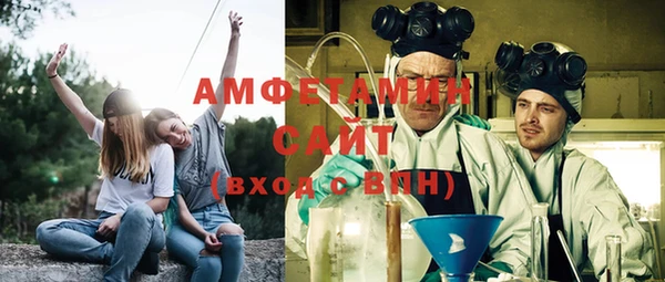 ГАЛЛЮЦИНОГЕННЫЕ ГРИБЫ Ельня