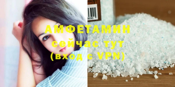 ГАЛЛЮЦИНОГЕННЫЕ ГРИБЫ Ельня