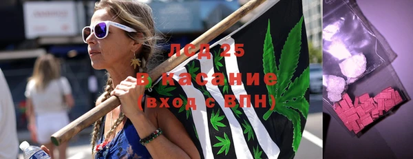 ГАЛЛЮЦИНОГЕННЫЕ ГРИБЫ Ельня