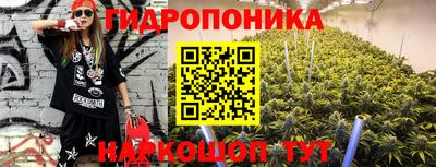 прущие крисы Лесосибирск